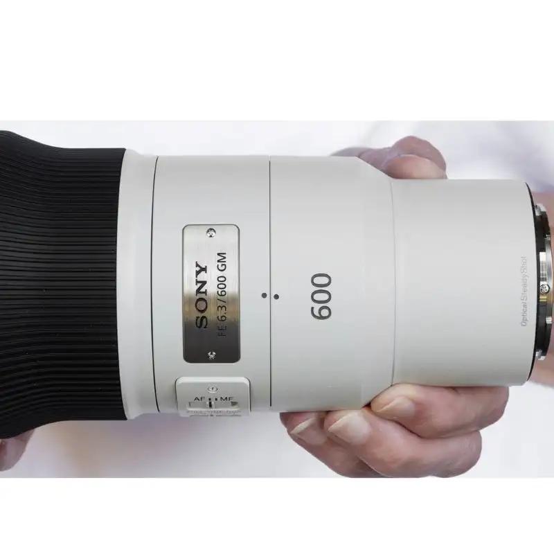 لنز Sony FE 600mm F6.3 GM OSS برای عکاسی حیات وحش