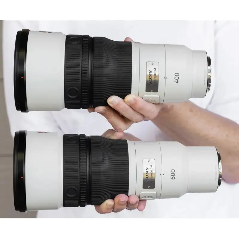 لنز Sony FE 400mm F4.5 GM OSS برای عکاسی حیات وحش