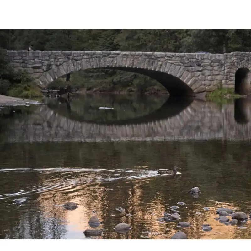 دوربین Nikon Z5 IIC