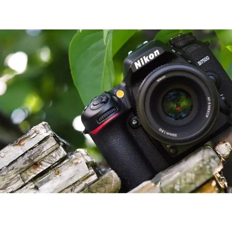 بهترین دوربین DSLR برای عکاسی و فیلمبرداری